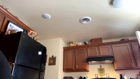 sissy josphine online show from 01/17/25, 08:22