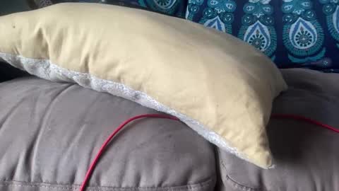 joshperrygoon online show from 12/19/24, 07:29