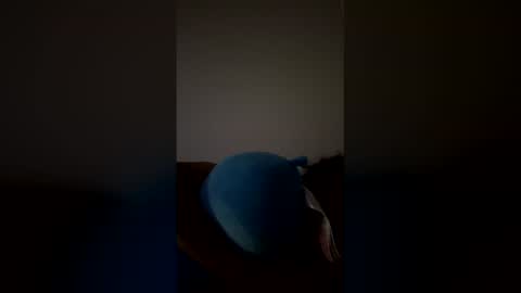 joshua_b11 online show from 03/28/26, 06:46