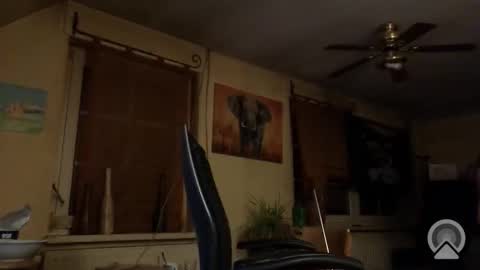 jott604214 online show from 03/08/26, 08:23