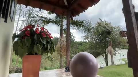 Im Jouliano online show from 11/15/25, 08:05