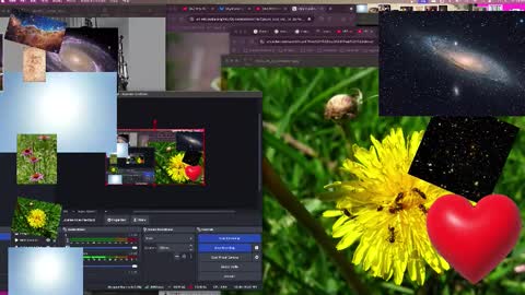 JP Sunflower Angel Love online show from 10/13/25, 09:09