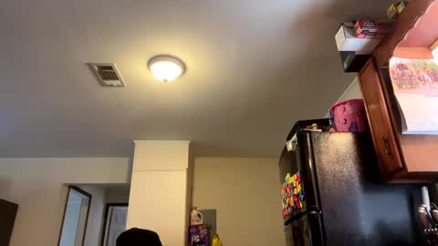 Assholelover online show from 02/27/25, 06:31