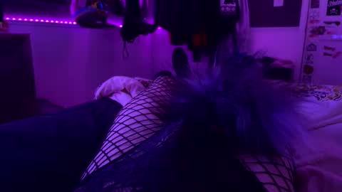 Snapshot of jrod11229 chatting on 10/24/25, 02:30 jrod11229 online show from 10/24/25, 02:30