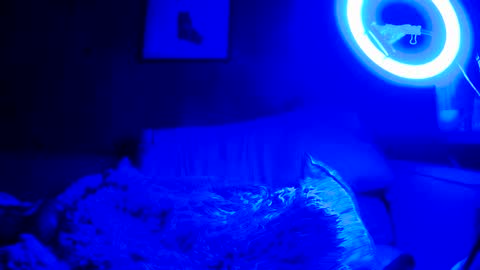 Snapshot of jroge21 chatting on 03/09/25, 03:22 jroge21 online show from 03/09/25, 03:22