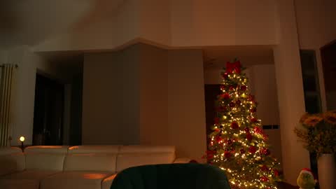 Jennifer Diaz online show from 12/13/24, 08:37