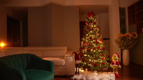 Jennifer Diaz online show from 12/14/24, 11:34