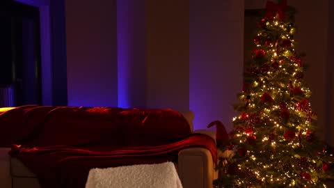 Jennifer Diaz online show from 12/21/24, 06:23