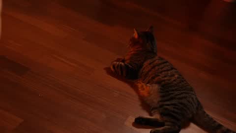 Jennifer Diaz online show from 02/03/25, 11:15