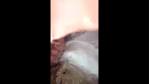 Snapshot of jtnorris0299626957 chatting on 04/16/26, 06:14 jtnorris0299626957 online show from 04/16/26, 06:14