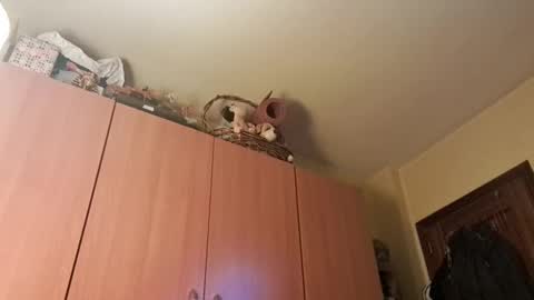 juanka85564456 online show from 01/20/25, 09:43