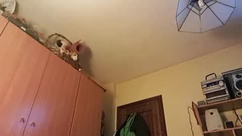 juanka85564456 online show from 01/29/25, 12:43