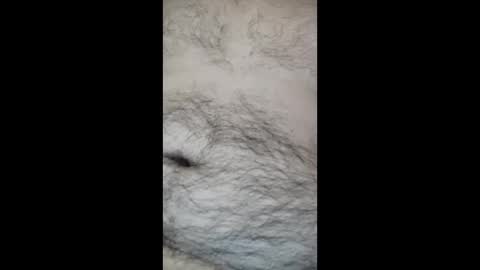 juegopromax707909 online show from 04/27/26, 11:08