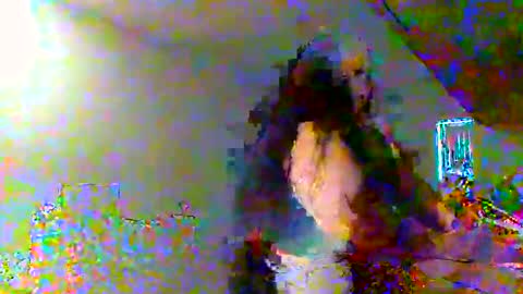 juicylatinabbw online show from 02/20/26, 04:07