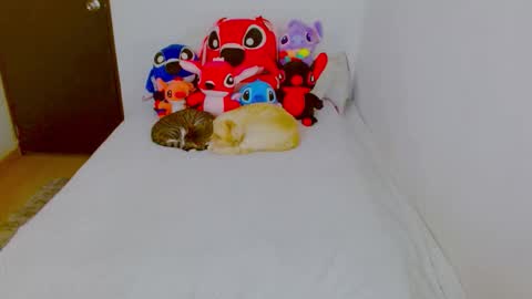  Juliana Torres  online show from 02/25/26, 08:29