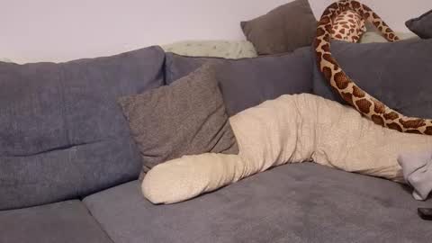 julia_official online show from 11/11/25, 10:21