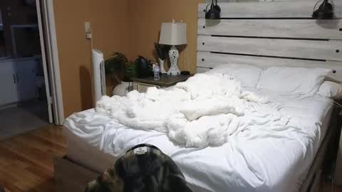 Snapshot of julianaxxxrose chatting on 02/06/26, 02:53 Texas Mamasita online show from 02/06/26, 02:53