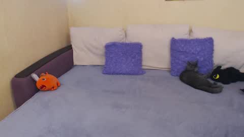 Jul online show from 09/22/25, 03:03