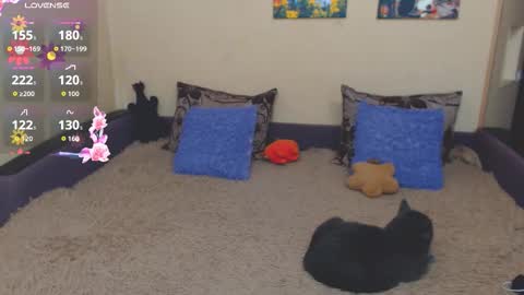 Snapshot of juliasane_ chatting on 02/21/26, 02:40 Jul online show from 02/21/26, 02:40