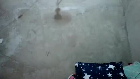 juliett online show from 02/27/26, 06:57