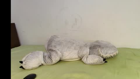 Julyana online show from 11/15/25, 09:00