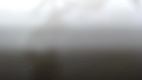 Snapshot of junk_yard_dog chatting on 02/04/25, 02:21 Dave online show from 02/04/25, 02:21