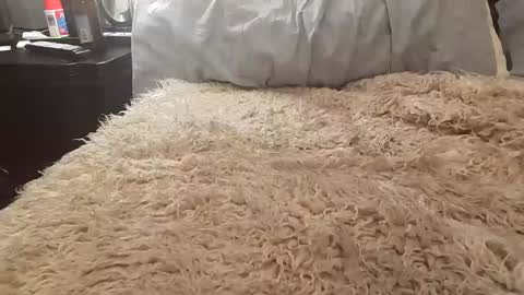 Snapshot of jusme6269 chatting on 01/08/25, 01:00 Jusme6269 online show from 01/08/25, 01:00