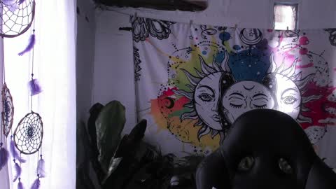 Sofia online show from 02/05/25, 09:40