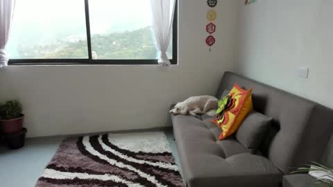 Sofia online show from 03/07/25, 02:34