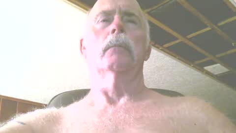 Snapshot of justdon chatting on 07/17/26, 03:29 justdon online show from 07/17/26, 03:29