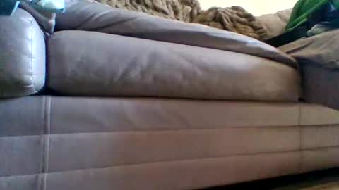 justgrosch4200 online show from 02/27/26, 05:46