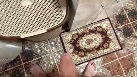 justin950116 online show from 12/15/25, 07:18