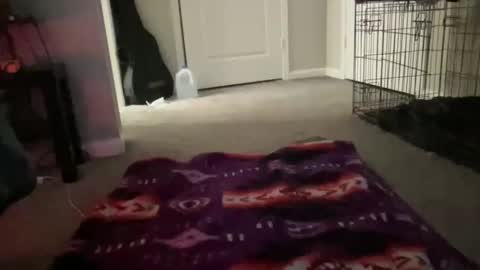 JustinCase online show from 03/14/26, 10:42