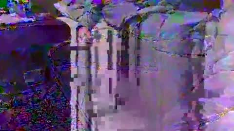 Techno Nymph online show from 02/25/26, 03:49