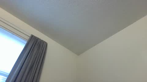 Cookie Monster online show from 12/28/24, 12:56