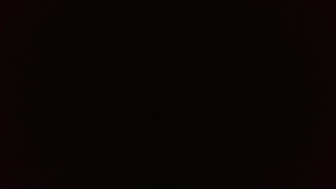 Wolf online show from 02/26/25, 03:52