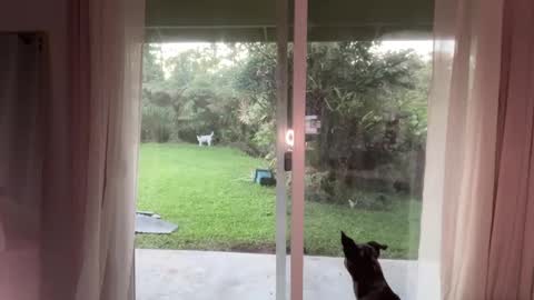 Snapshot of kaileeshy chatting on 01/08/25, 03:51 Kailee Smile online show from 01/08/25, 03:51