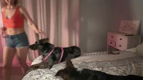 Snapshot of kaileeshy chatting on 02/12/25, 04:54 Kailee Smile online show from 02/12/25, 04:54