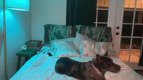 Kailee Smile online show from 02/10/26, 05:00