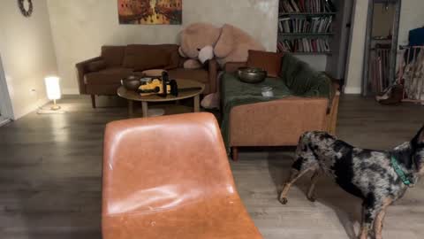 Kailee Smile online show from 03/06/26, 04:53