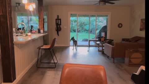 Kailee Smile online show from 03/21/26, 04:28