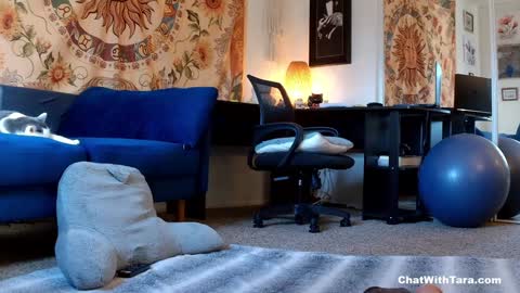 Tara Smith online show from 01/14/25, 10:02