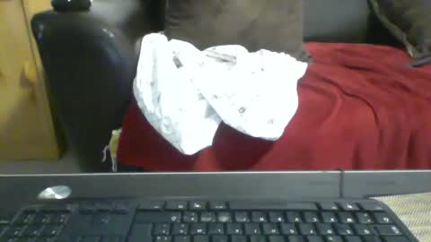 Snapshot of kamkiko69 chatting on 12/09/24, 12:51 kamkiko69 online show from 12/09/24, 12:51