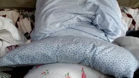 Snapshot of kaonashi69 chatting on 01/19/25, 06:21 kaonashi69 online show from 01/19/25, 06:21