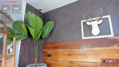   online show from 02/20/26, 03:03