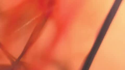 Snapshot of karina_belov_01 chatting on 02/18/25, 08:16 KarinaBelov online show from 02/18/25, 08:16