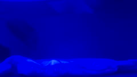 Karla Gonzaless online show from 11/02/25, 06:49