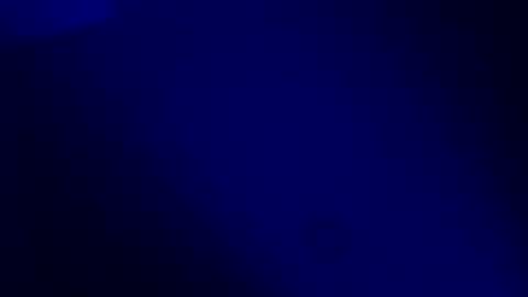 Karla Gonzaless online show from 11/19/25, 07:30