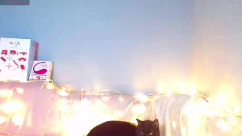 Snapshot of karolina_hottie_ chatting on 01/12/25, 06:39 Kira online show from 01/12/25, 06:39