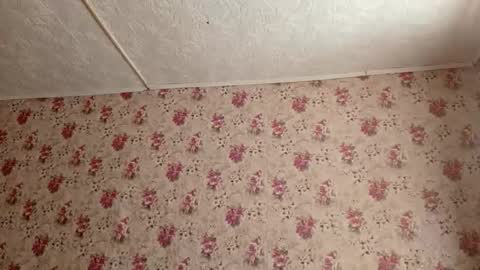 Sara online show from 02/27/26, 07:19